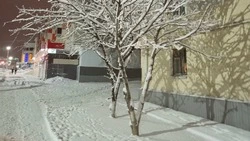 Новогодние праздники без обморожений: простые правила защиты от холода