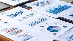 Губкинские власти поделились итогами статистического наблюдения экономического развития округа