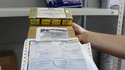 Почта России доставила посылку с насекомыми
