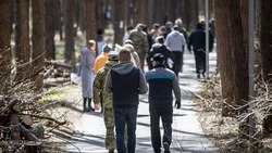 Вячеслав Гладков: в месячнике добровольного служения региону поучаствовали более 100 тыс. человек