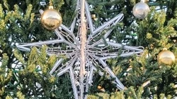 Василий Голиков и Галина Колесникова поздравили губкинцев с Новым годом