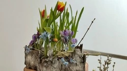 Губкинцы стали победителями и призёрами областного конкурса «Приближая дыханье весны…»