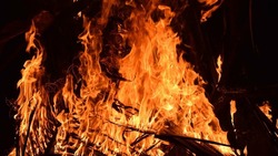 Сотрудники МЧС призвали губкинцев соблюдать меры пожарной безопасности
