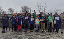 Губкинцы высадили 80 белоствольных берёз к юбилею Великой Победы