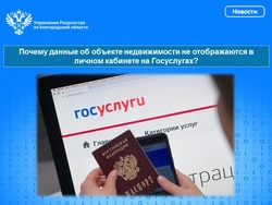 Росреестр рассказал почему данные об объекте недвижимости не отображаются в личном кабинете