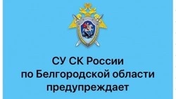 Следственный комитет напомнил о способах дистанционного мошенничества