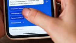 Более 100 тысяч заявлений о самозапрете на кредиты и займы подано в Белгородской области