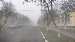 Туман опустится на Белгородскую область уже завтра