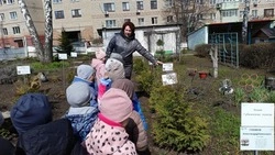 Губкинские педагоги превращают город в учебник