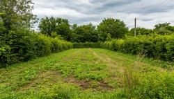 В региональном Росреестре напомнили о признаках неиспользования земельных участков