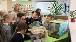 Юные губкинцы окунулись в волшебный мир детской библиотеки