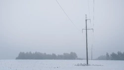Энергетики «Белгородэнерго» готовятся к непогоде