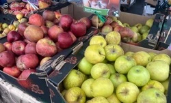 Губкинцы смогут купить свежие и качественные продукты на муниципальных ярмарках 27 и 28 декабря