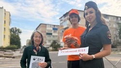 Активисты Молодёжного центра вместе с инспекторами ГИБДД провели профилактическую акцию