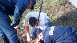 Сотрудники МЧС спасли щенков из глубокой ямы в Разумном