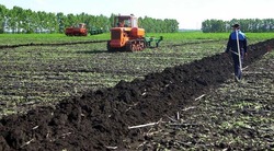 Вячеслав Гладков: господдержка белгородских аграриев в 2024 году составила свыше 4,6 млрд рублей