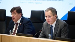 Вячеслав Гладков сообщил о сроках создания туристического кластера в Чернянском районе 