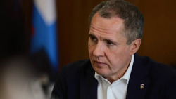 Вячеслав Гладков ознакомился с концепцией развития образования белгородского образования