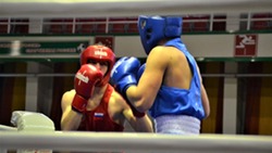 Областные соревнования по боксу прошли в Губкине