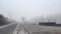 МЧС предупредило белгородцев о тумане