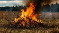 Спасатели напомнили губкинцам о необходимости соблюдения правил пожарной безопасности