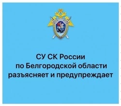 Следком обратил внимание родителей на необходимость усиленной профилактики детского травматизма