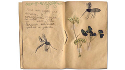 Конкурс на лучший детский арт-дневник стартовал в заповеднике «Белогорье»