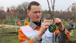 Белгородцы приступили к озеленению парка имени Гагарина в столице региона
