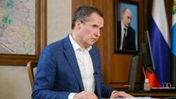 Вячеслав Гладков обсудил фронт работы с главой администрации Губкинского горокруга