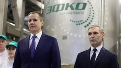 Вячеслав Гладков – о строительстве завода компании «ЭФКО» в Белгородской области 