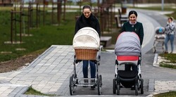 Вячеслав Гладков: в семьях участников СВО родилось 360 детей в 2024 году