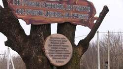 Памятник срубленному в 2018 году двухвековому дубу появился в Белгородской области