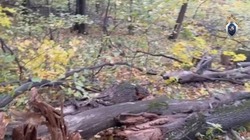 Следователи завершили расследование дела о гибели подростка в Губкинском городском округе