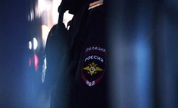 Полицейские задержали подозреваемого в краже телефона в Губкине