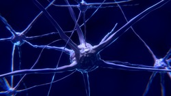 Нервные клетки не восстанавливаются. Как жить с рассеянным склерозом