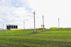 Россети Центр обеспечили электроснабжение объекта агропромышленного комплекса в Белгородской области