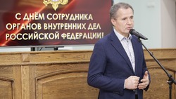 Вячеслав Гладков вручил награды отличившимся сотрудникам МВД