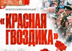 Губкинцев приглашают принять участие во Всероссийской акции «Красная гвоздика»