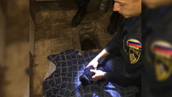Спасатели вытащили щенка из ямы туалета в Белгородском районе