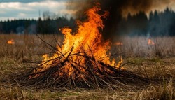 Особый противопожарный режим вводится на территории Белгородской области