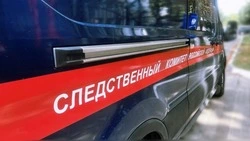 Житель города Губкина заключён под стражу по обвинению в причинении смерти знакомому