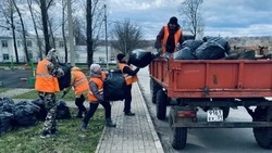 Губкинцы продолжают делать город чище и уютнее