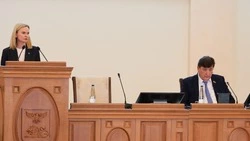 Депутаты Белгородской областной Думы приняли пакет законов о поддержке участников СВО