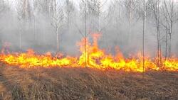 Власти продлили особый противопожарный режим в Белгородской области