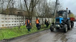 Губкинцы сделали важное и нужное дело в рамках областного экологического флешмоба #Экочелендж31