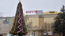Главная ёлка Губкина появилась на центральной площади