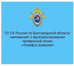 Следственный комитет напомнил о работе телефонной линии «Телефон доверия»