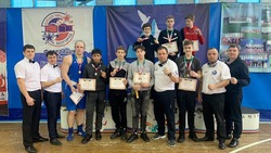 Губкинские боксёры отметились победами на чемпионате области