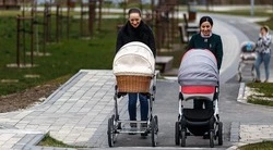 432 студенческие семьи получили единовременную выплату при рождении ребёнка за шесть лет