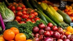 Губкинцы смогут посетить ярмарочные мероприятия 16 и 17 мая